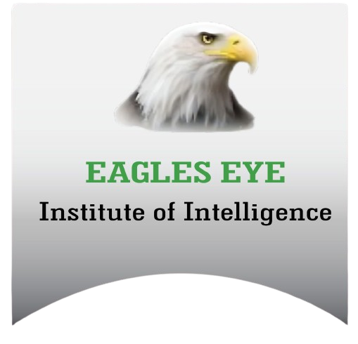 Eagles Eye Institute